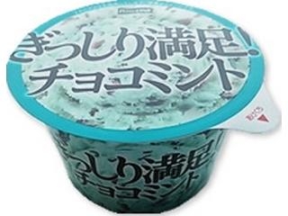 ぎしいり満足チョコミント