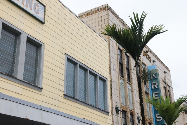 色が薄くシャッターが閉まっている。活気が見られない建物。