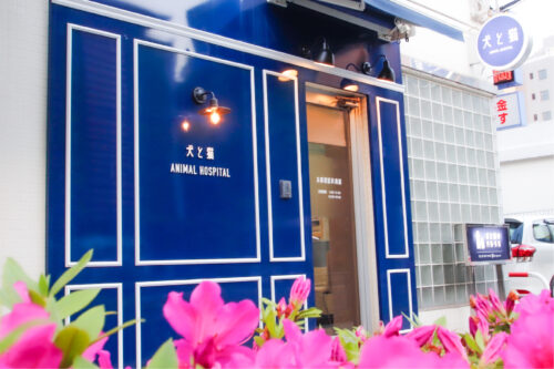 本郷獣医科病院様