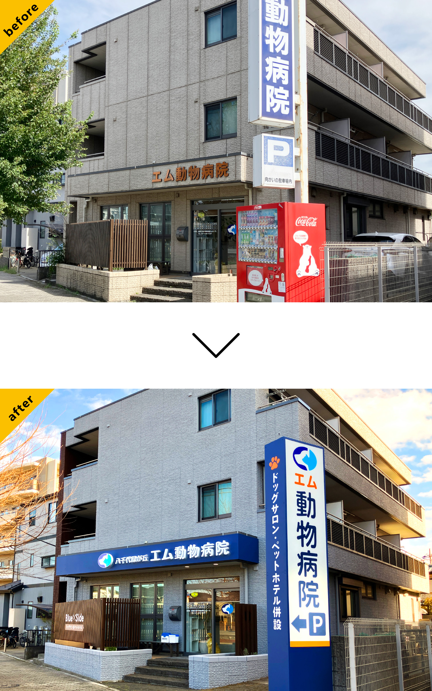 動物病院-おしゃれな看板-外観-before-after