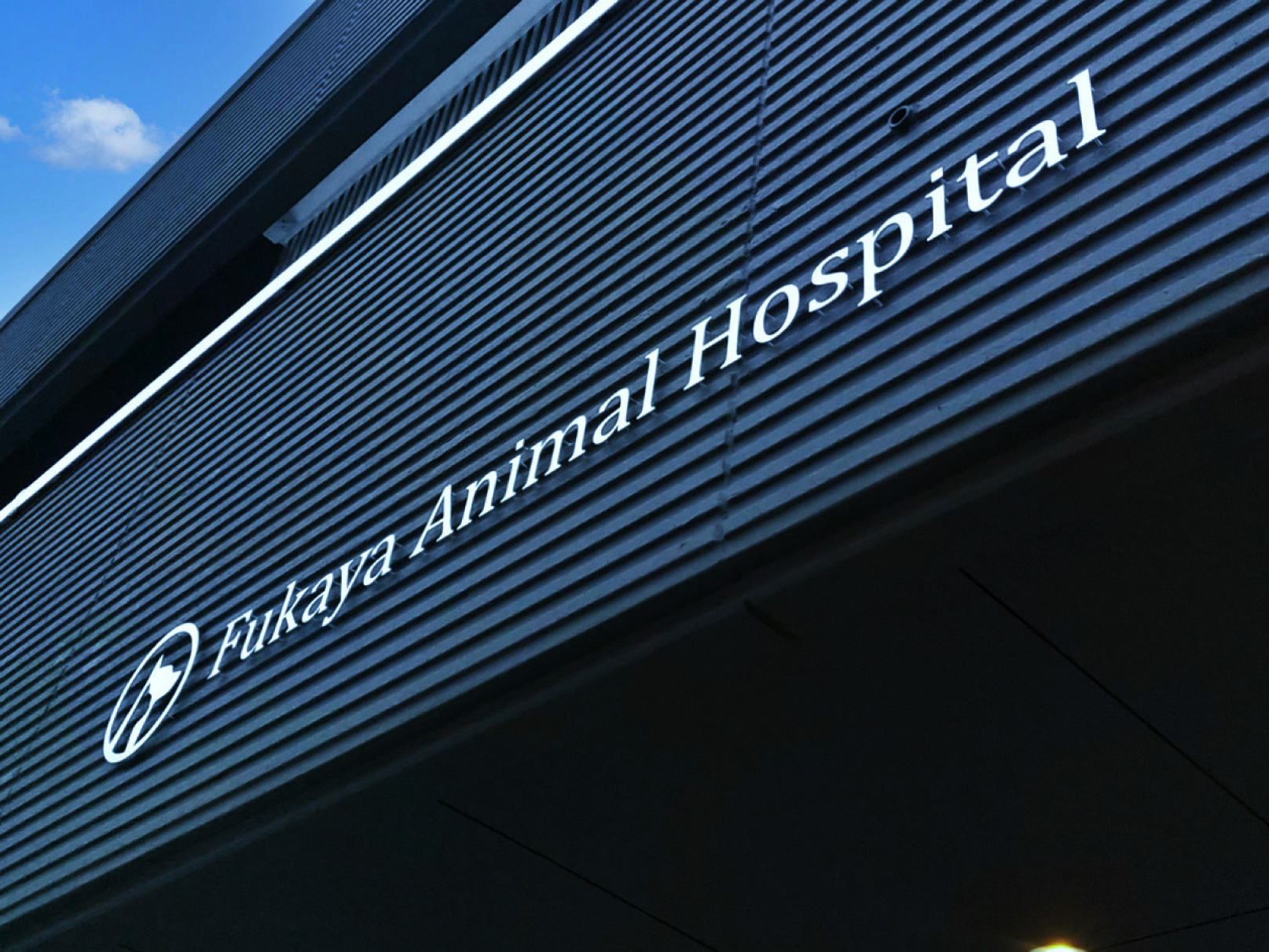 動物病院--おしゃれな看板-外観