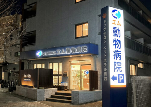 今回の新規オープンは【集客特化プラン】にて製作しております