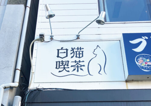 白猫喫茶様