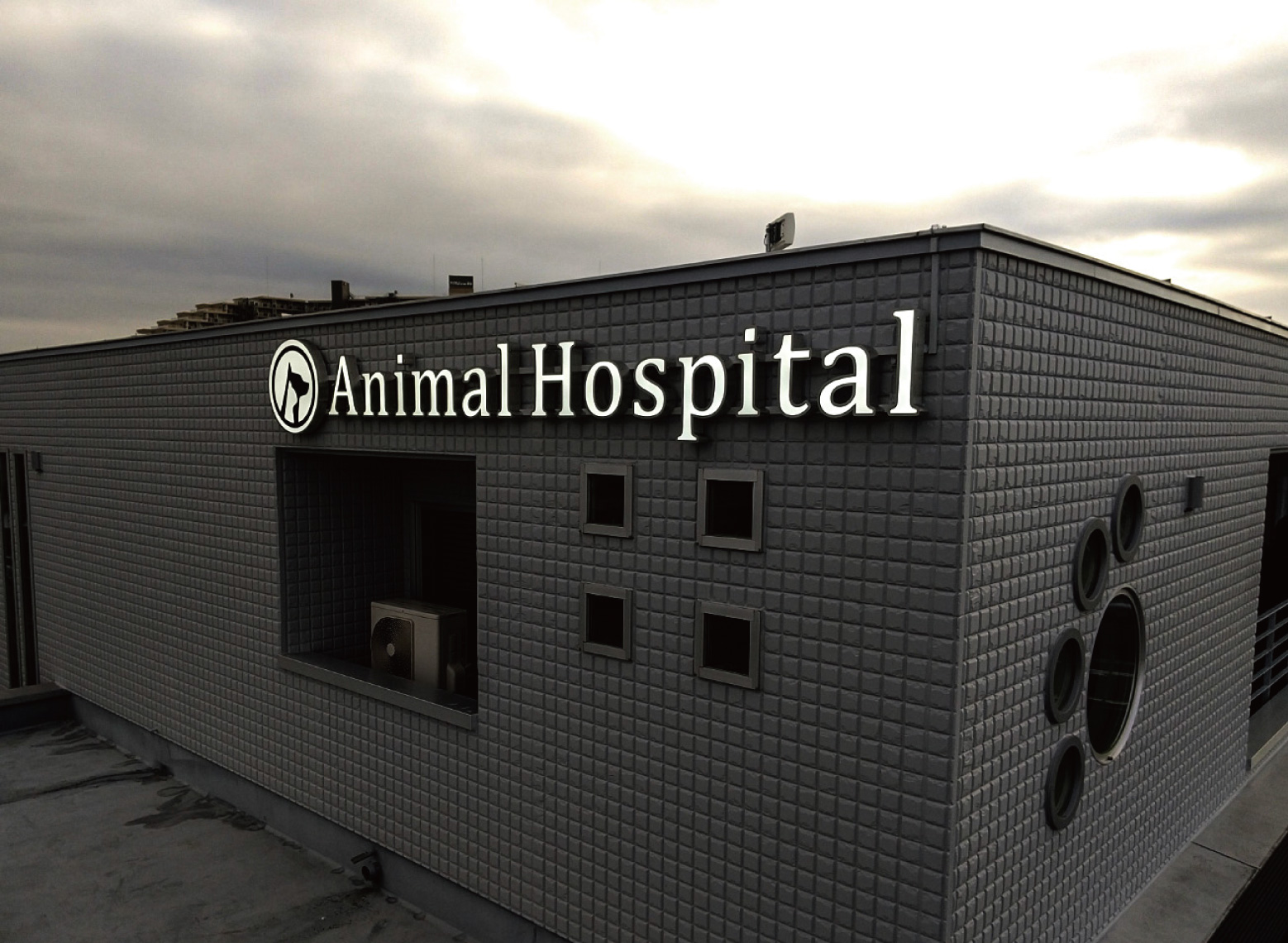 動物病院--おしゃれな看板-外観
