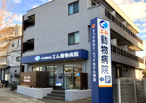 エム動物病院様