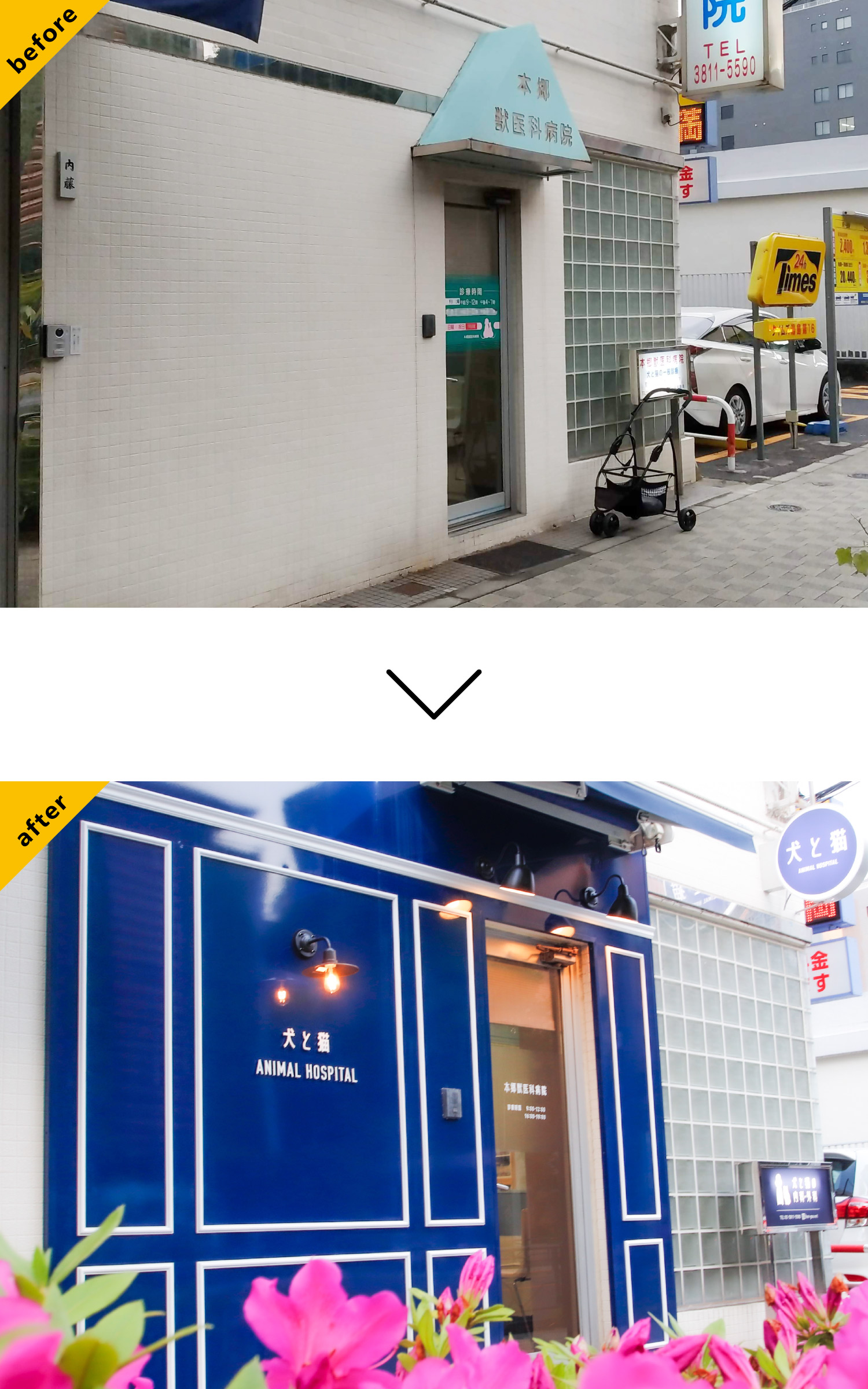 動物病院--おしゃれな看板-外観