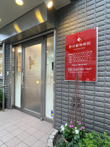 医院のイメージカラーのレッドを随所に取り入れています