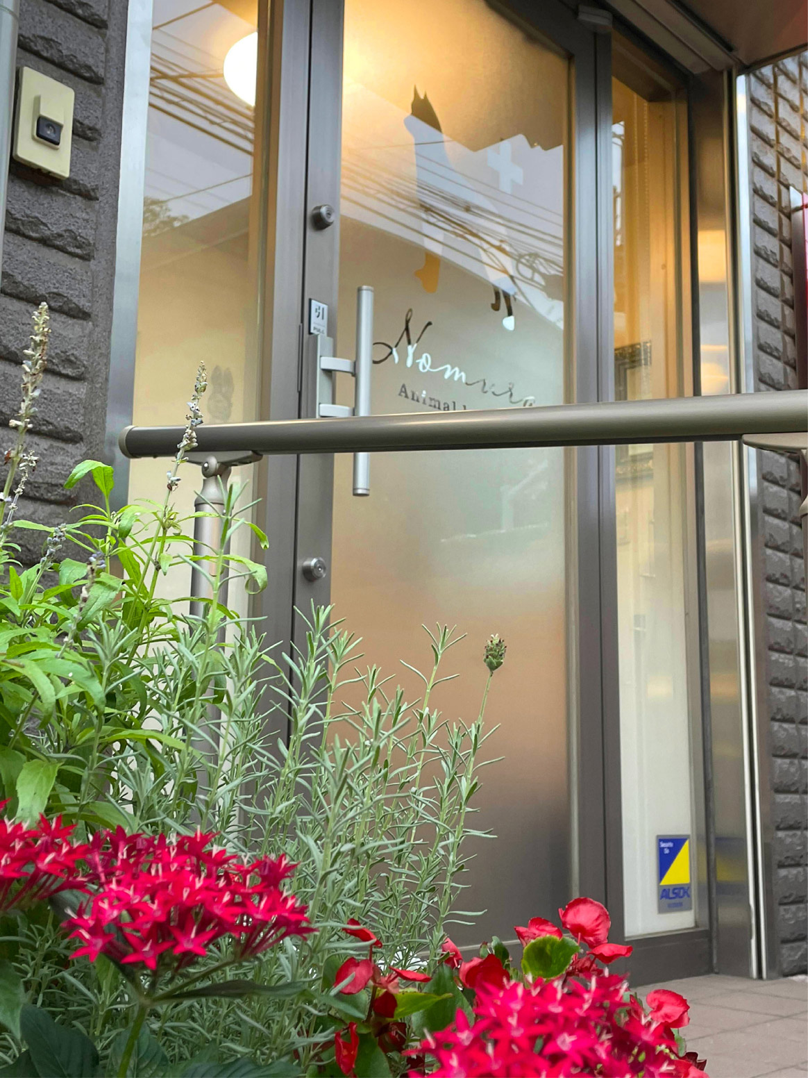 動物病院--おしゃれな看板-ウィンドウ シートサイン