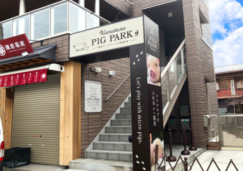 鎌倉PIG PARK様