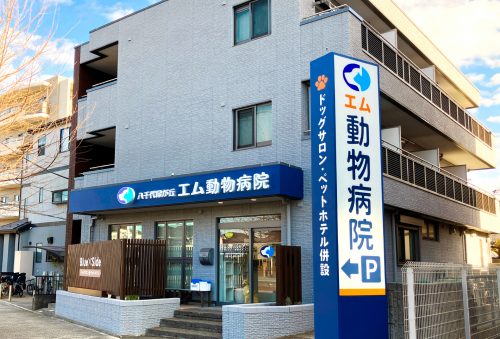 八千代緑が丘 エム動物病院様