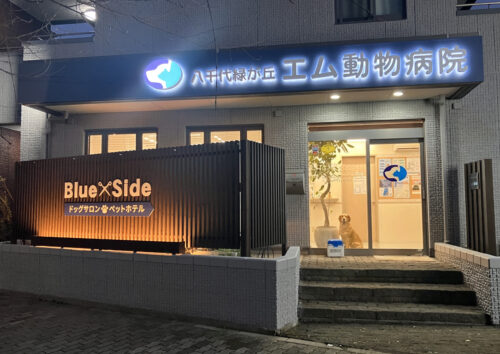 夜は背面発光のチャンネル文字が光り、医院名を強調します